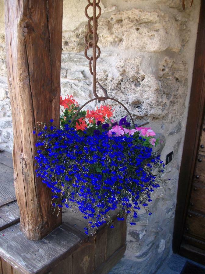 Le Petit Chateau De Vetan Cir 0023 Saint-Pierre Buitenkant foto